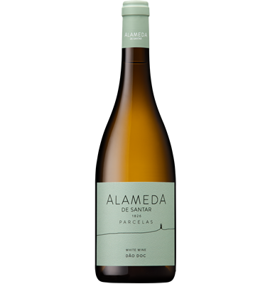 Quinta da Alameda Branco Parcelas