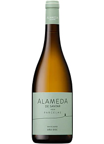 Quinta da Alameda Branco Parcelas