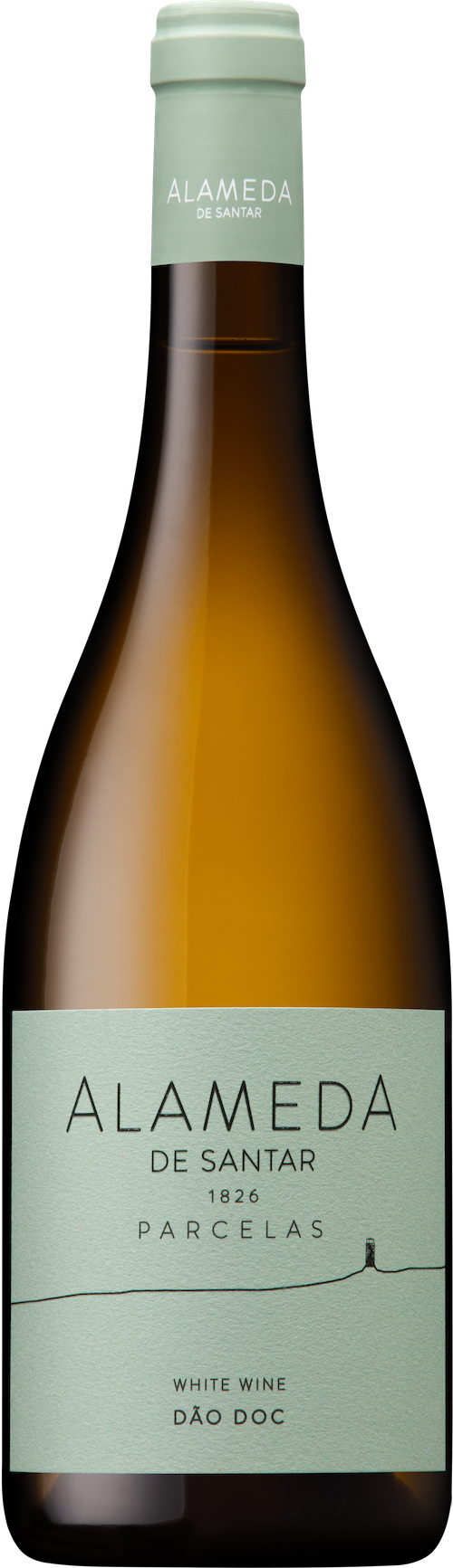 Quinta da Alameda Branco Parcelas