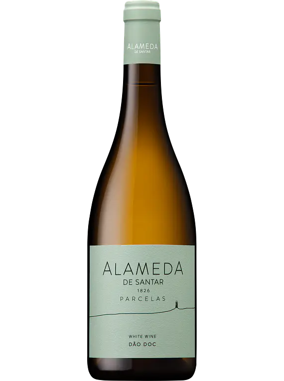 Quinta da Alameda Branco Parcelas