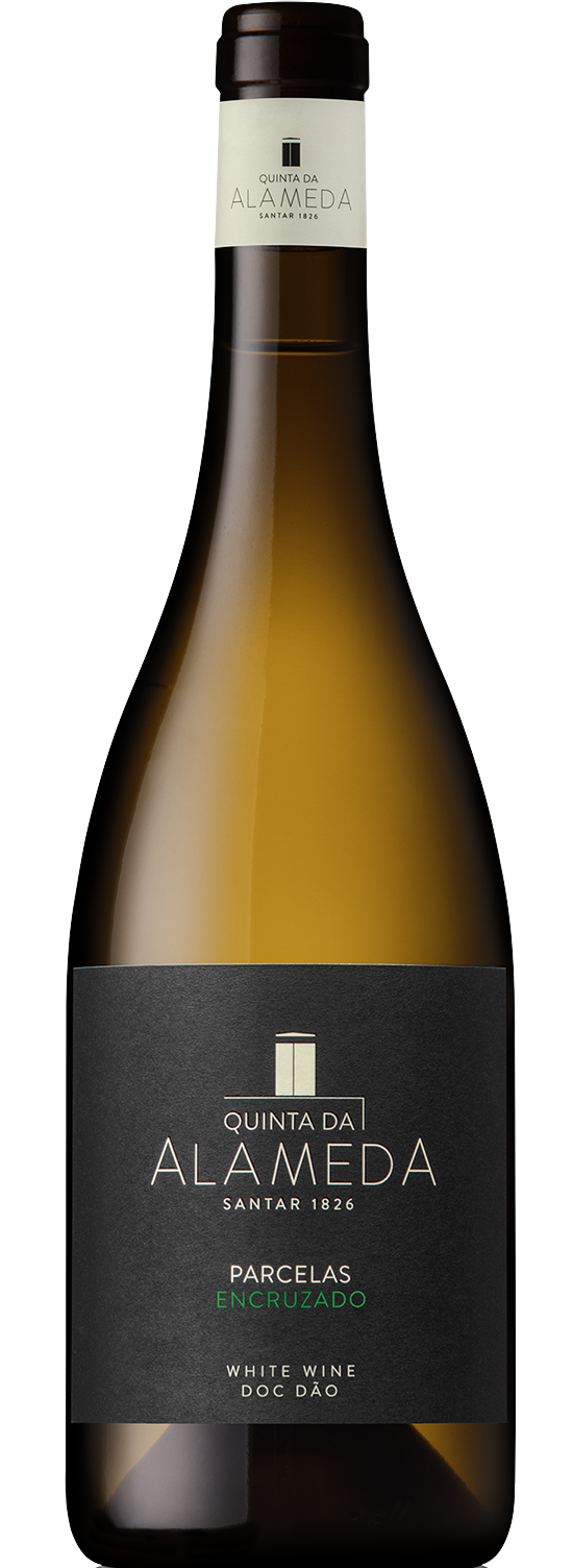 Quinta da Alameda Branco Parcelas Encruzado