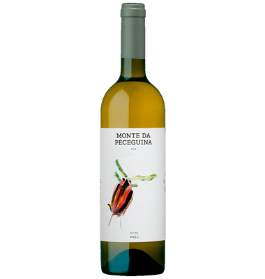 Peceguina Branco