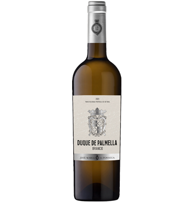 Duque de Palmela Branco