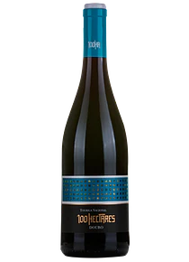 100 Hectares Touriga Nacional