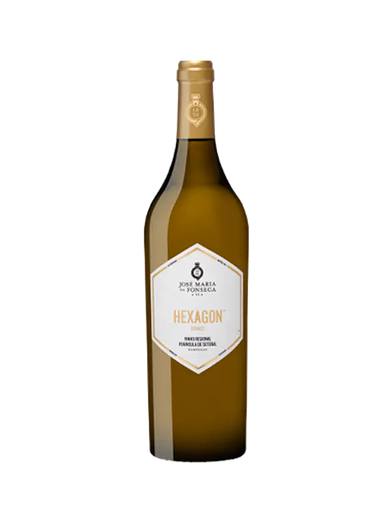 Hexagon JMF Branco