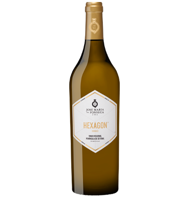 Hexagon JMF Branco