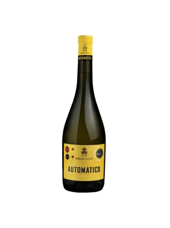 Automático Branco Ribeiro Santo