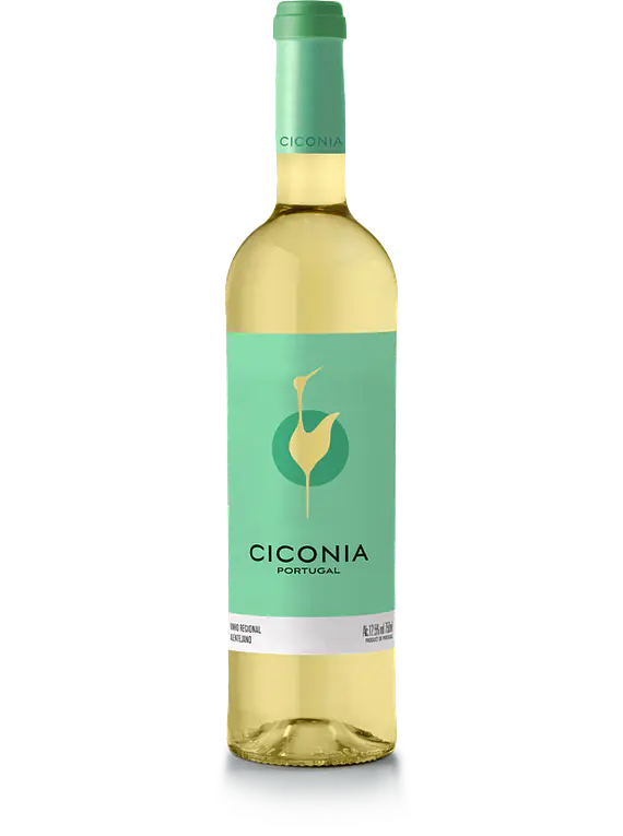 Ciconia Branco