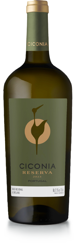 Ciconia Branco Reserva