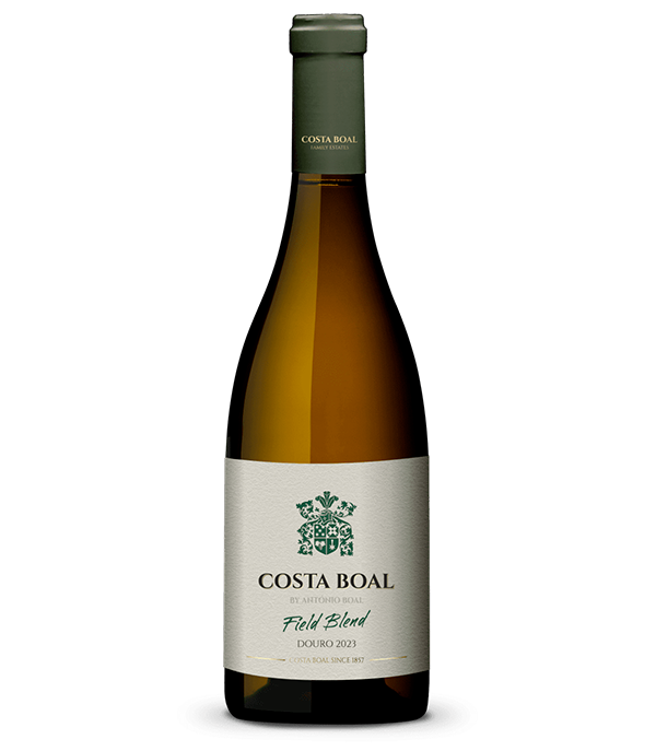 Costa Boal Field Blend Branco