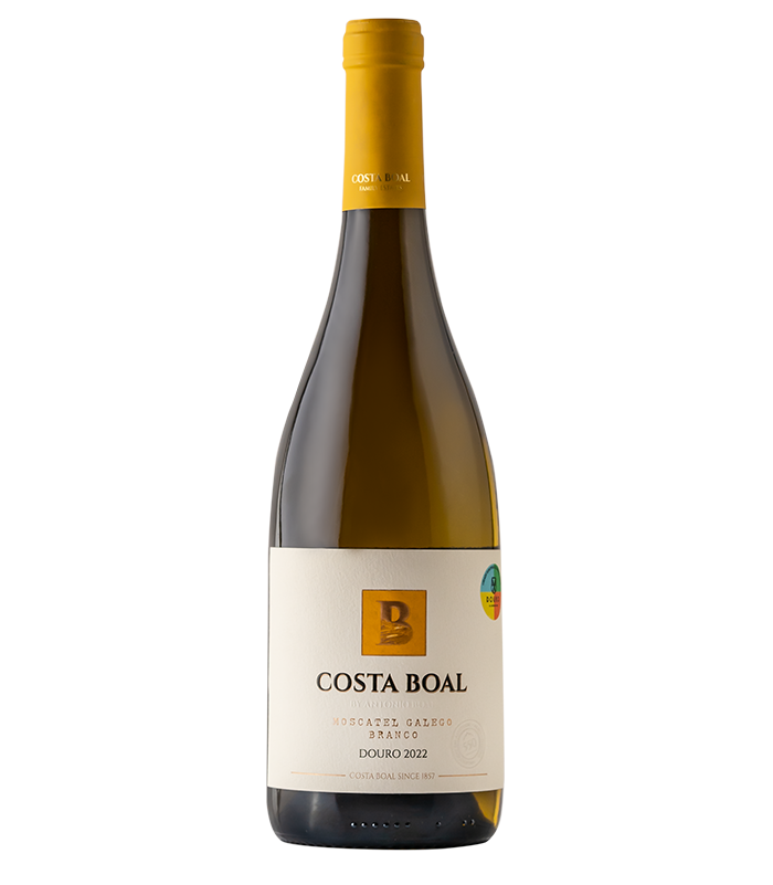 Costa Boal Moscatel Galego