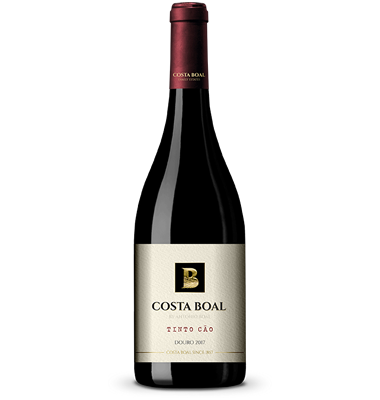 Costa Boal Tinto Cão