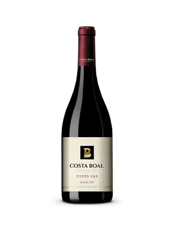 Costa Boal Tinto Cão