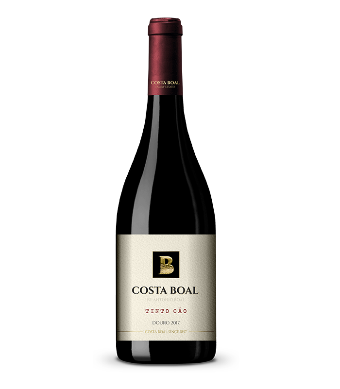Costa Boal Tinto Cão