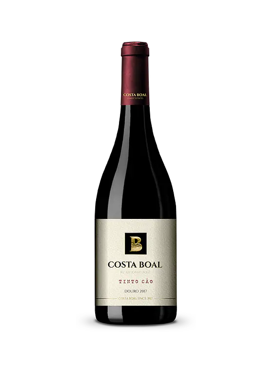 Costa Boal Tinto Cão