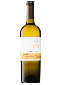 H.O Horta Osório Moscatel Galego