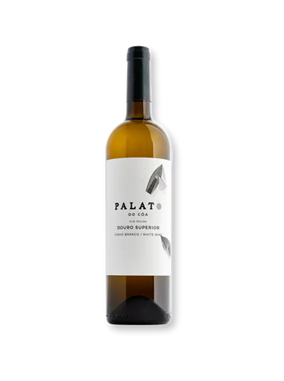 Palato Branco