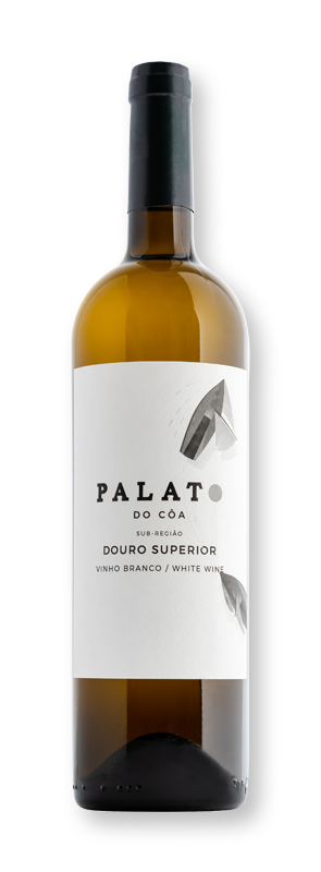 Palato Branco