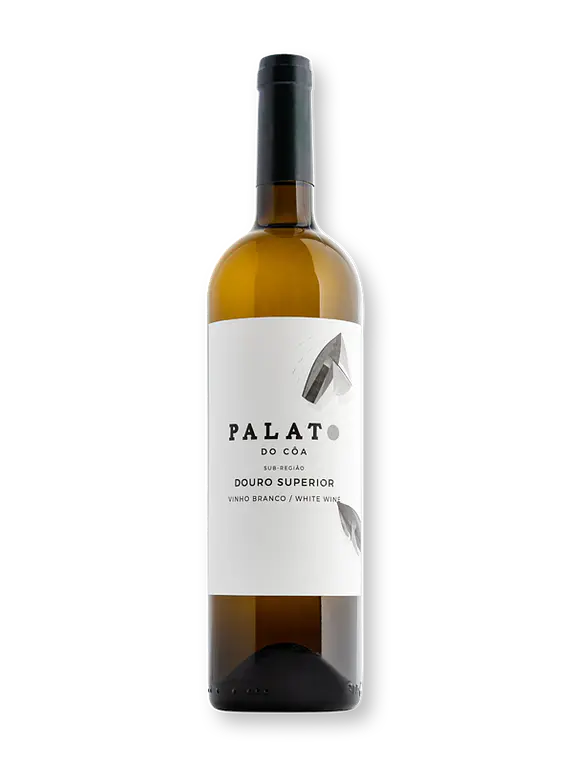 Palato Branco