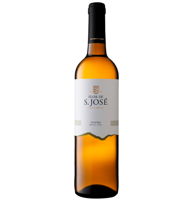 Flor de São José Branco