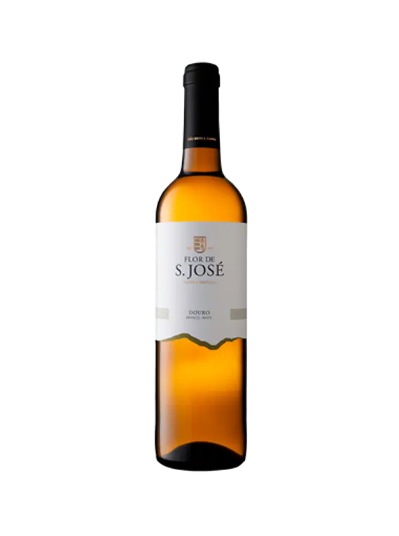 Flor de São José Branco