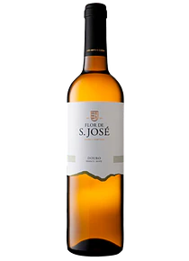 Flor de São José Branco