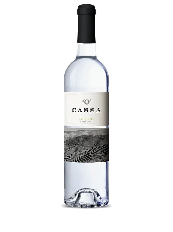Cassa Branco