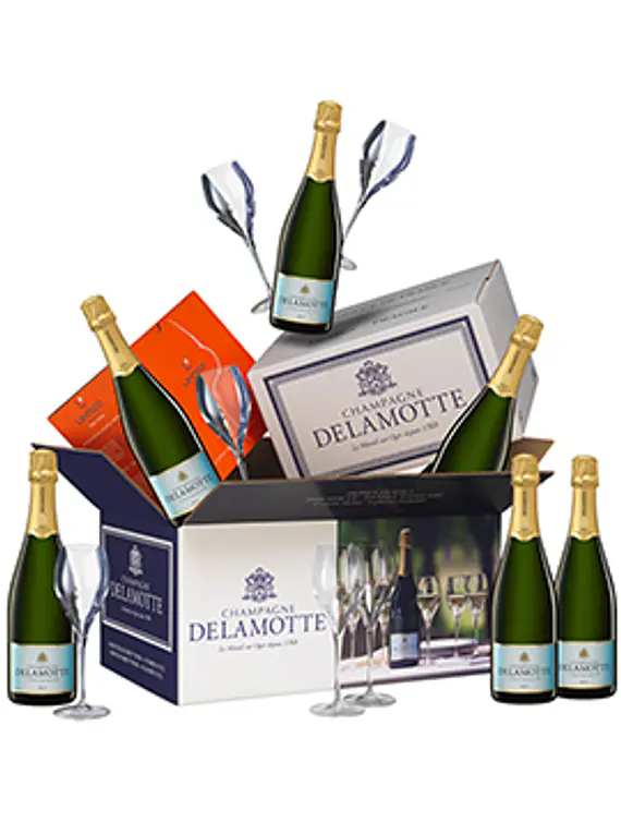 Champagne Delamotte Celabration Case