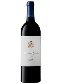 CARM Maria de Lurdes Tinto