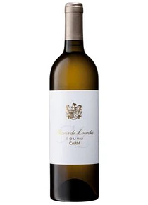 CARM Maria de Lurdes Branco
