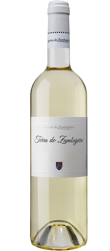 Terra do Zambujeiro Branco