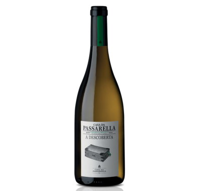 Passarela Branco A Descoberta
