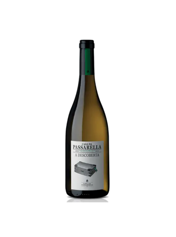 Passarela Branco A Descoberta