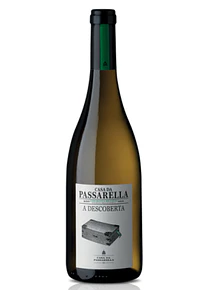 Passarela Branco A Descoberta