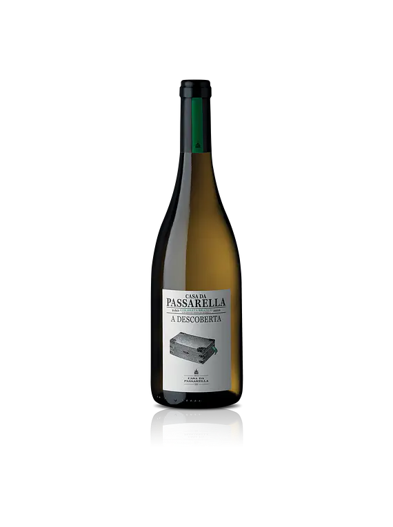 Passarela Branco A Descoberta
