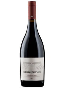 Caminhos Cruzados Colheita Tinto