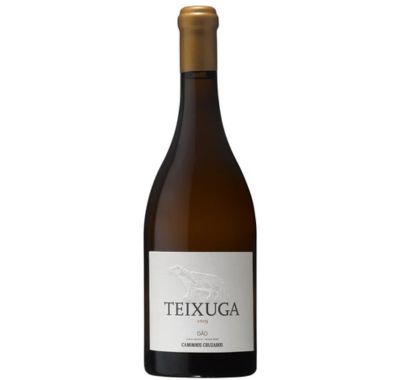 Teixuga Branco 2019