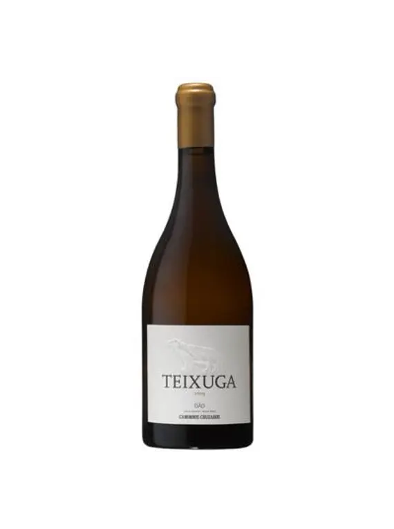 Teixuga Branco 2019