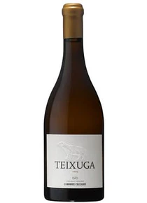 Teixuga Branco 2019