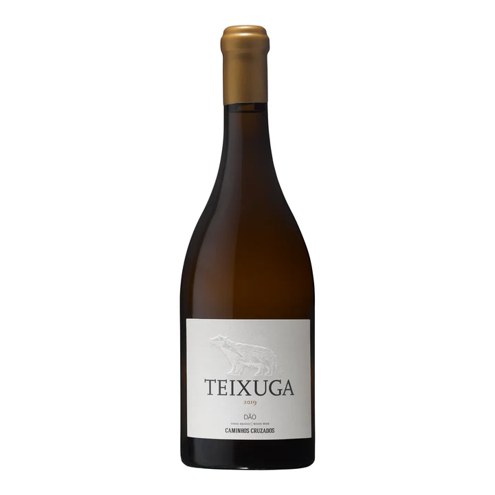 Teixuga Branco 2019
