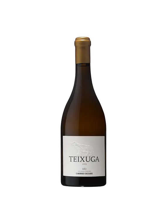 Teixuga Branco 2019