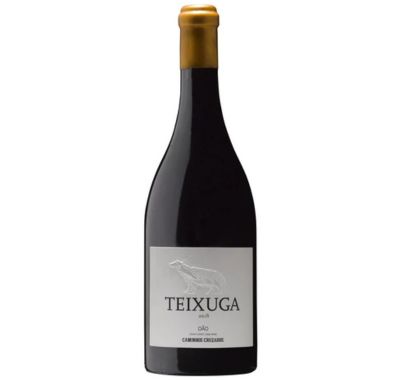 Teixuga Tinto