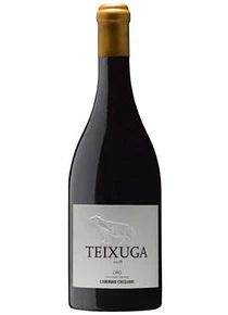 Teixuga Tinto