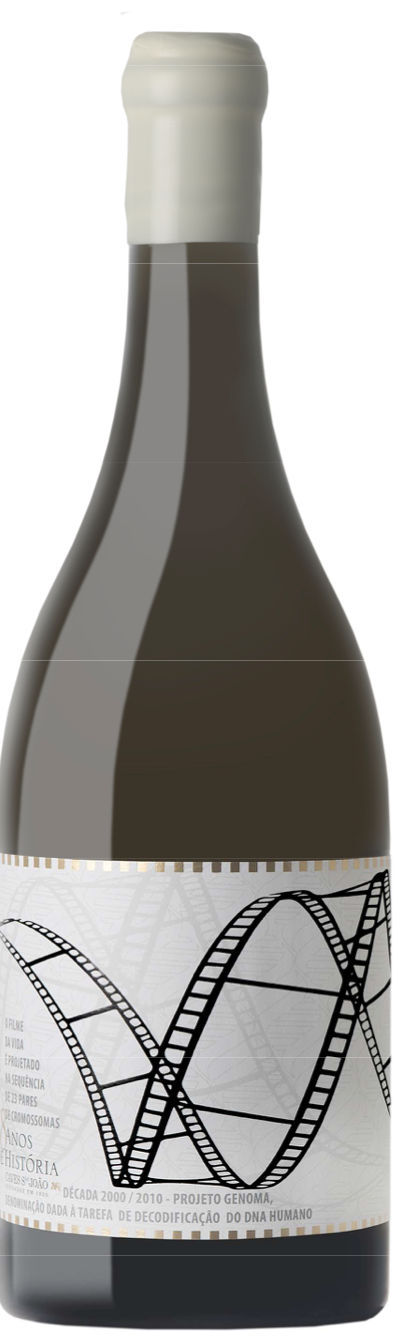 98 Anos de História Caves São João Colheita 2017