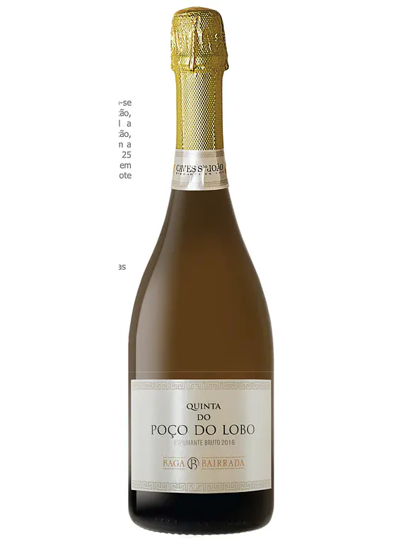 Espumante Quinta do Poço do Lobo Baga