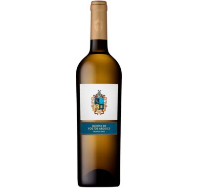 Quinta de Foz de Arouce Branco