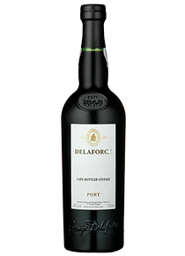 Porto Delaforce L.B.V.