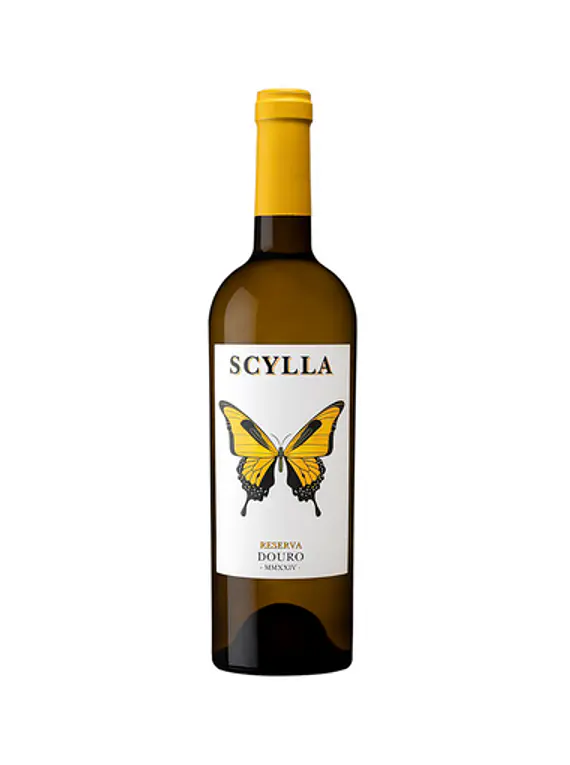 Scylla Reserva Branco