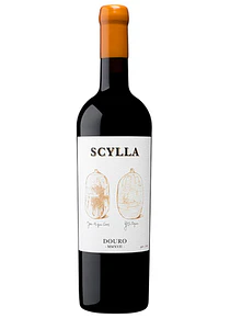 Scylla Tinto