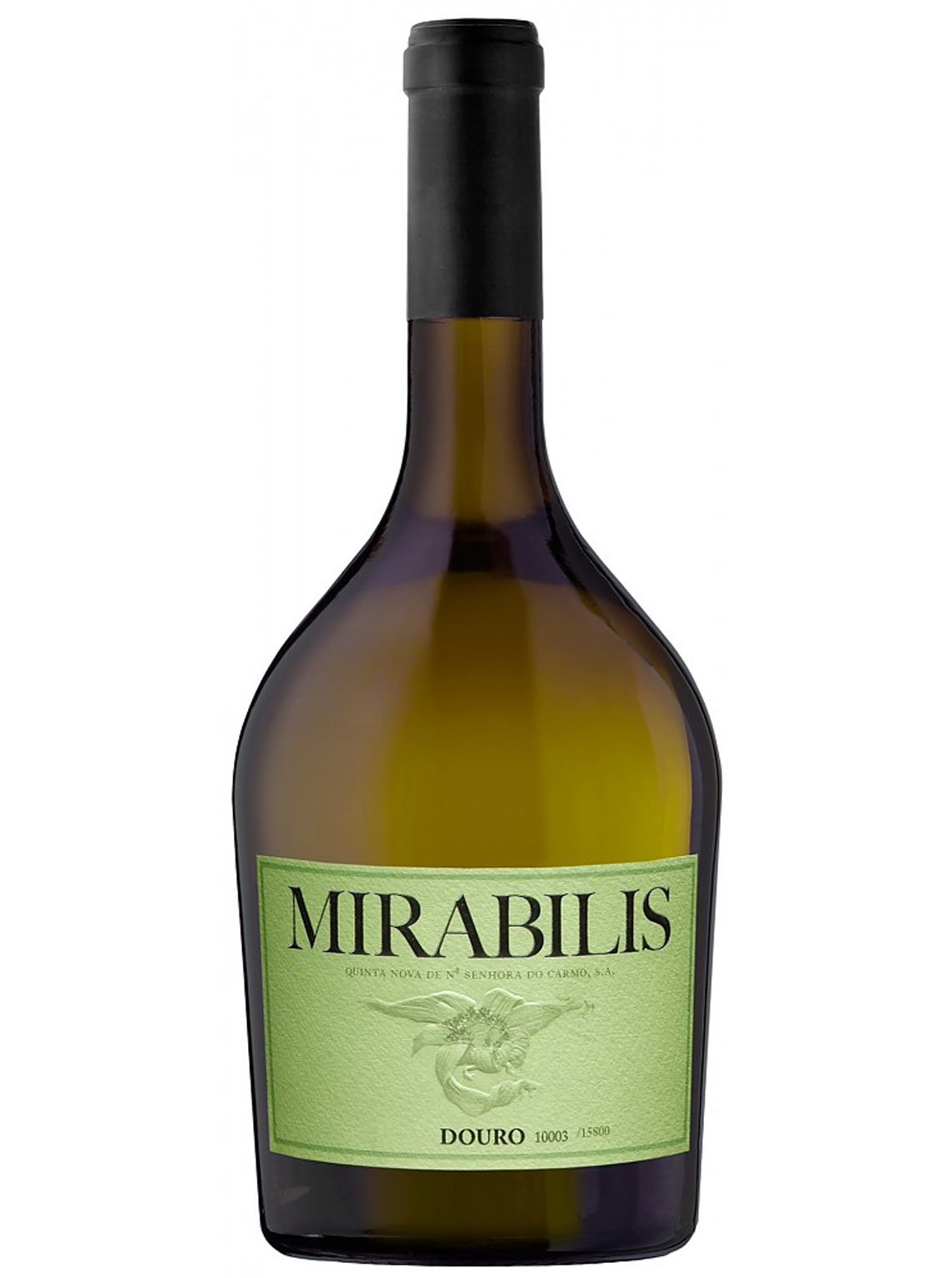 Mirabilis Branco